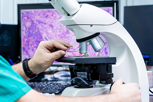 Laboratory of histopathology